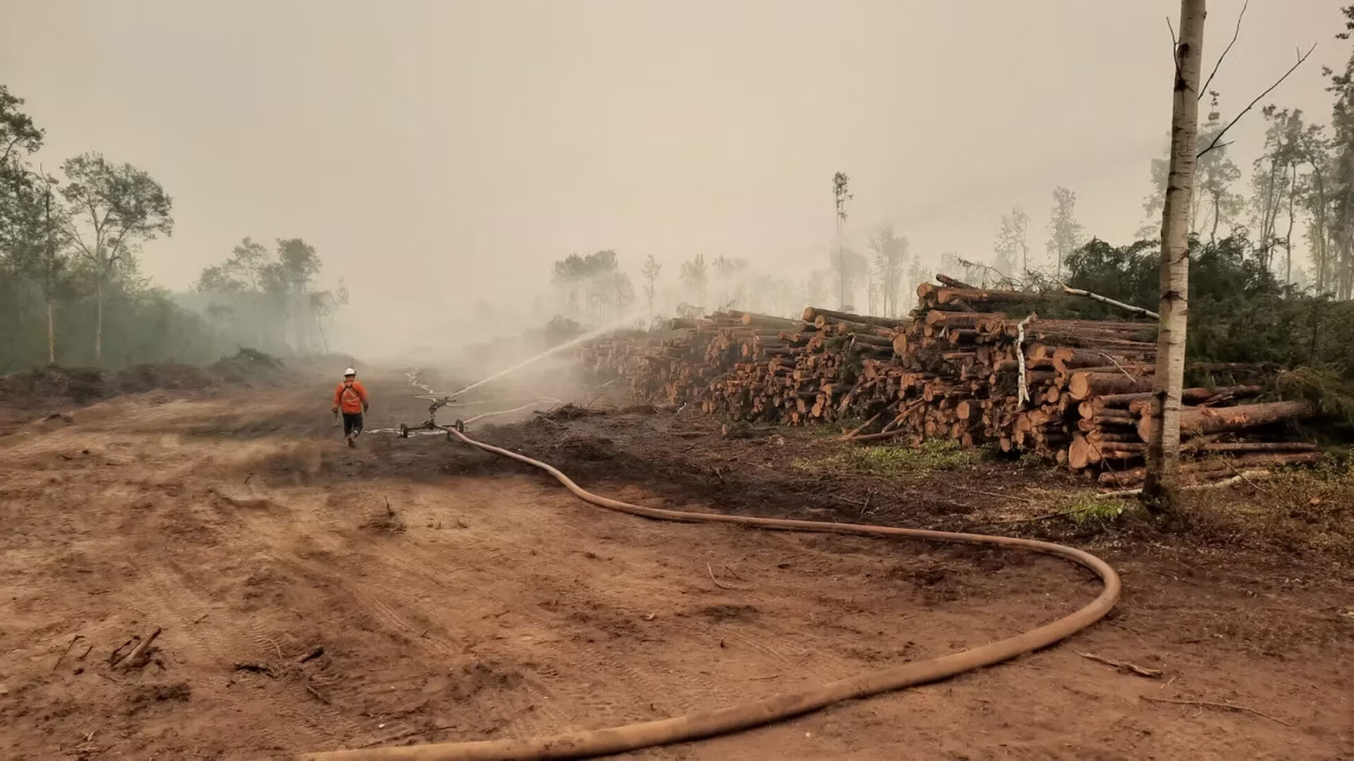 Worker spraying water near stacked logs in smoky forest